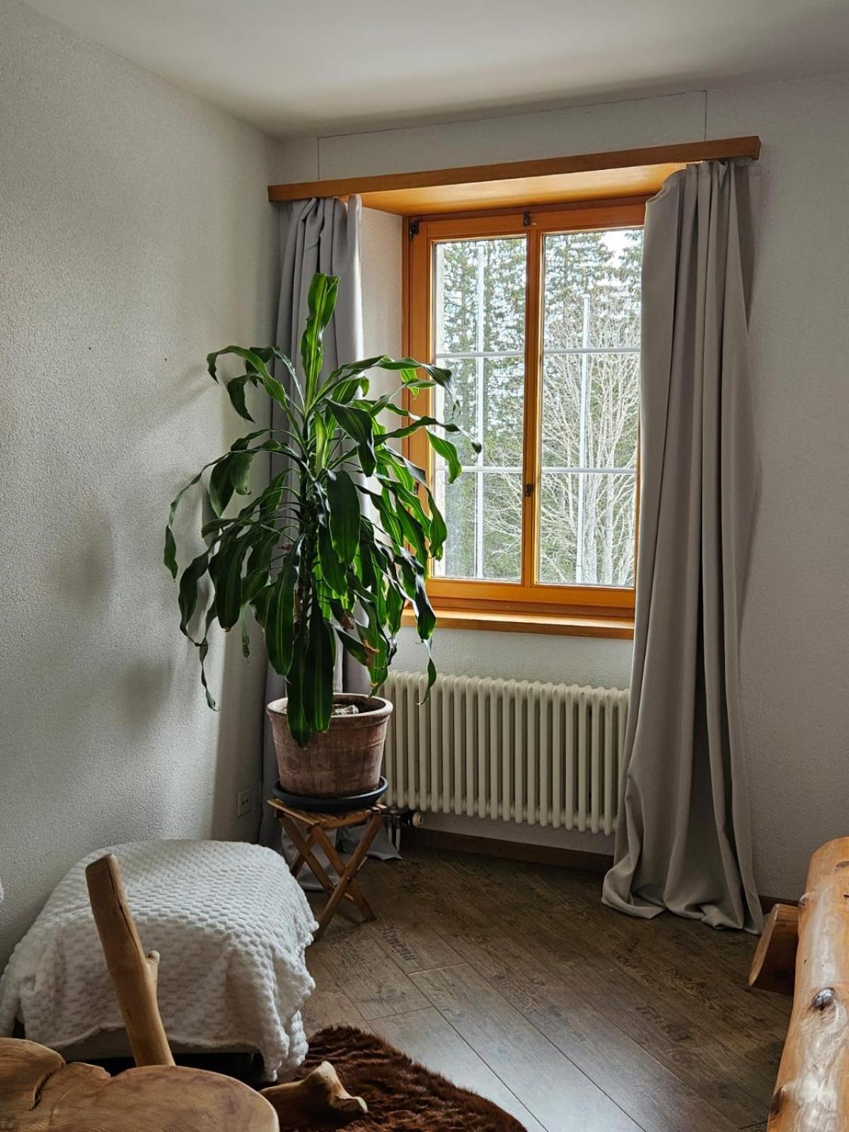 Hotel Restaurant Du Marchairuz Le Brassus Zewnętrze zdjęcie