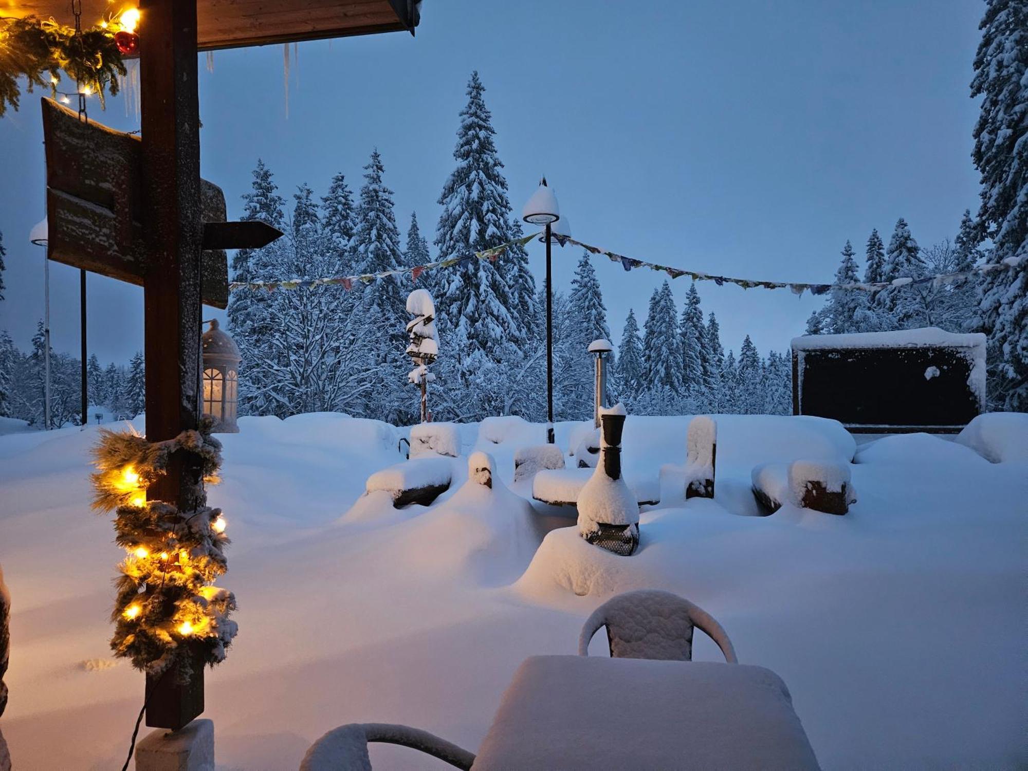 Hotel Restaurant Du Marchairuz Le Brassus Zewnętrze zdjęcie